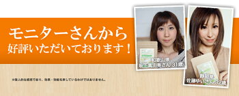 糖質制限ダイエットサプリ『よくばりスリム30回分』120粒【送料無料】フォルスコリギムネマキトサン男性女性イヌリン食物繊維白インゲン豆生姜
