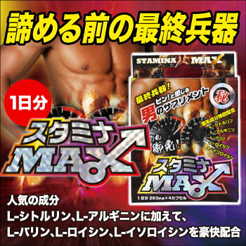 スタミナMAX1日分