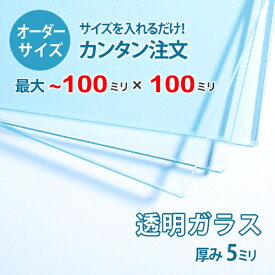 【オーダーサイズ】透明ガラス厚さ5ミリ：100ミリ×100ミリ以内のガラスのサイズオーダー製作：全周ミガキ加工済み【安心保証付き】／DIY・棚板・テーブルトップ・間仕切り