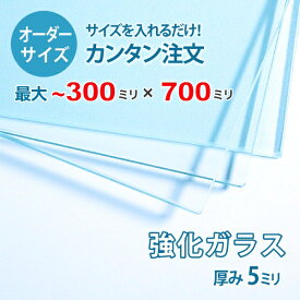 【オーダーサイズ】透明強化ガラス厚さ5ミリ：300ミリ×700ミリ以内のガラスのサイズオーダー製作：全周ミガキ加工済み【安心保証付き】／DIY・棚板・テーブルトップ・間仕切り・安全ガラス