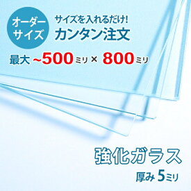 【オーダーサイズ】透明強化ガラス厚さ5ミリ：500ミリ×800ミリ以内のガラスのサイズオーダー製作：全周ミガキ加工済み【安心保証付き】／DIY・棚板・テーブルトップ・間仕切り・安全ガラス