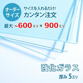 【オーダーサイズ】透明強化ガラス厚さ5ミリ：600ミリ×900ミリ以内のガラスのサイズオーダー製作：全周ミガキ加工済み【安心保証付き】／DIY・棚板・テーブルトップ・間仕切り・安全ガラス