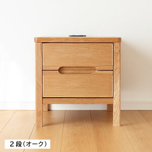 TCh`FXg i Y 45cm EH[ibg I[N VR o ubN  _ k Vv C 