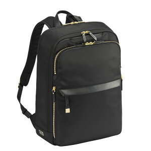 �G�[�X�W�[�� ace.GENE �r�W�l�X�����b�N 15.6�C���`�Ή� B4 ���t�B�� 68802 PC�Ή� ���f�B�[�X �ʋ� �i�C���� �V���v�� �Z�b�g�A�b�v �n�[�l�X