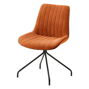 _CjO`FA F 2rZbg 360°] fXN`FA p\R`FA PC`FA [N`FA ItBX`FA ֎q  CX RpNg ݑ [g[N wK ׋  JtF H 