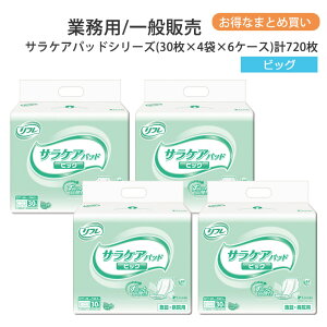 t TPApbh rbO 30×4×6P[X 4z lpނ pނ AƂpbh Apbh Apbh _ L lp  ނ ނ lpIc p