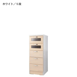 40cm X`FXg 5i { i Ƌ `FXg ^X N[[bg o Ԏ[ i`FXg ^[`FXg