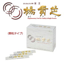 楽天市場】楊貴芝の通販