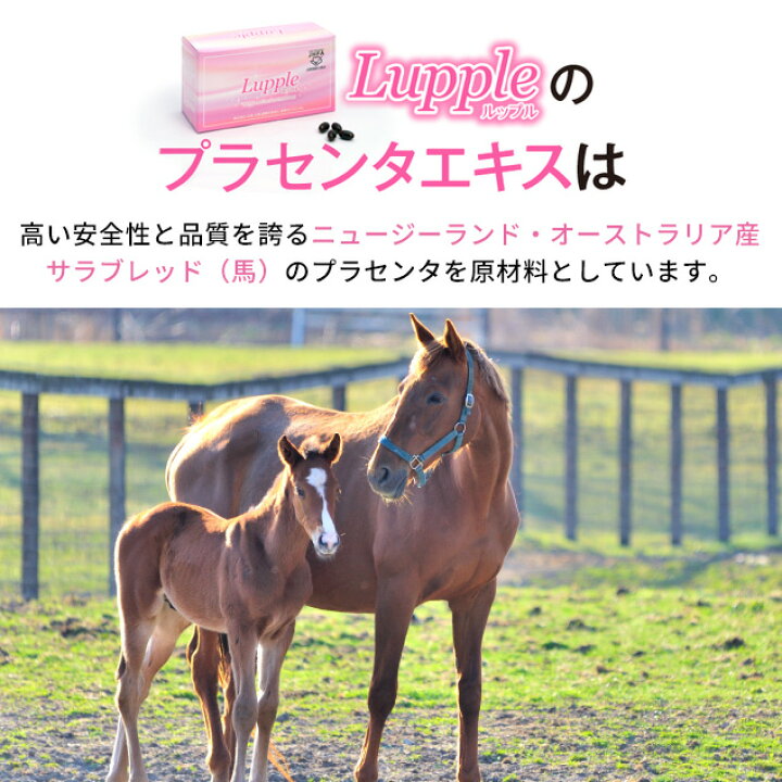 楽天市場】【Lupple(ルップル 1箱90粒入り】プラセンタ サプリメント 
