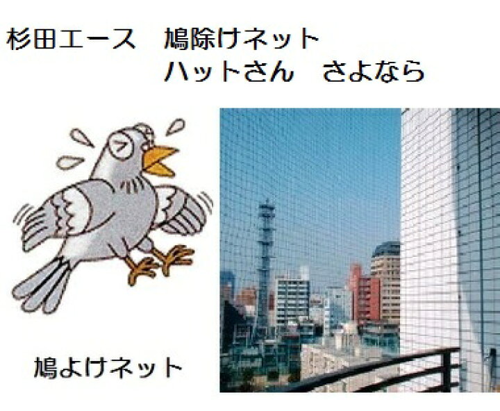 楽天市場】ハットさん さよなら 防鳥ネット【鳩よけ】 : バイ・モア 