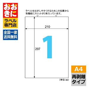 ELH001S qTS xV[ ꂢɂ͂GRm~[x m[Jbg Ĕ A41 1ЃTCY210mm×297mm ㉺E]Ȃ׎Dx Ix xCNWFbgv^E