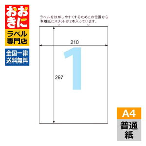 ELM001L qTS xV[ GRm~[x m[Jbg Xbg A4 1 1ЃTCY210mm×297mm ㉺E]Ȃ ׎Dx Ix x CNWFbgv^E[U[v