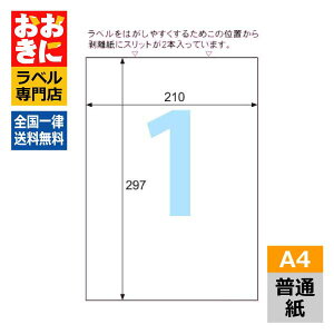 GB862N qTS xV[ A4^bNV[ S A4 1 1ЃTCY210mm×297mm ㉺E]Ȃ ׎Dx Ix x XbgCNWFbgv^E[U[v^K 