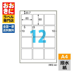 OPW3036 qTS xV[ x A4 12 1ЃTCY60mm×60mm ㉺E] \x ix ⓀE①ɂŎg }bg [U[v^px