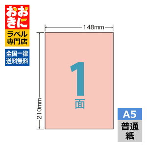 CLR7M xV[ ^bNV[ A5 1 1ЃTCY148mm×210mm ㉺E]Ȃ x \x ԐFx bh iiNGCg ʎx CNWFbgv^E[U[v