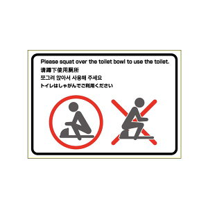 qTS KLS057 ͂Is^OXebJ[ gC̎gp@iaj A4/R1ʁi1V[gj