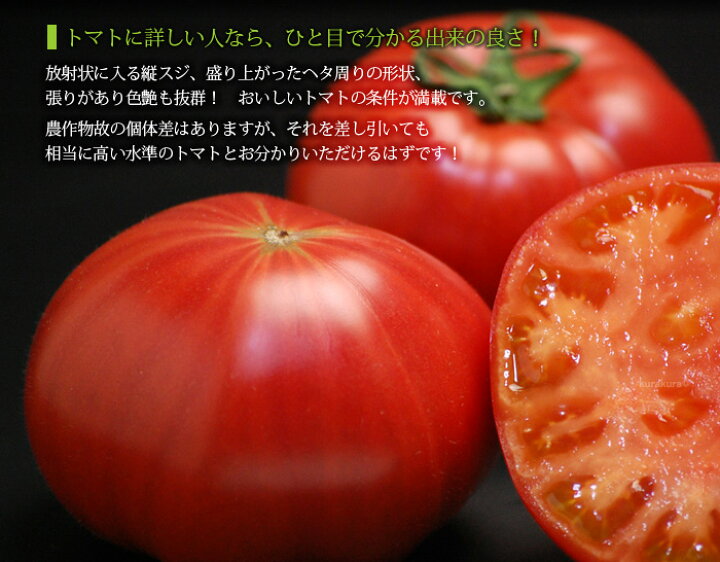 楽天市場】珊瑚樹 トマト (約1kg) 徳島産 S特撰 S特選 フルーツトマト 