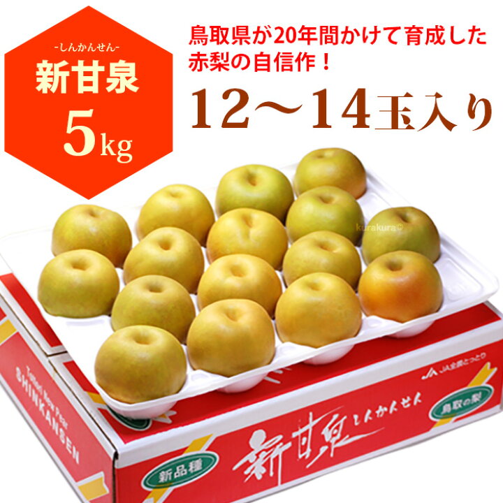 楽天市場】新甘泉 12-14玉 (約5kg) 鳥取産 秀品 しんかんせん 梨 なし 