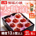 桃 お中元 御坂の桃 大糖領白桃(2L×8玉)山梨産 糖度13.5度以上 お中元 夏ギフト 送料無料 ランキングお取り寄せ