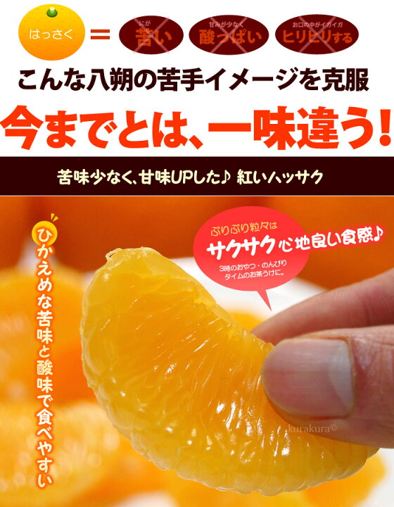楽天市場】紅はっさく (2L-3L/3kg) 広島産 赤秀 八朔 はっさく 