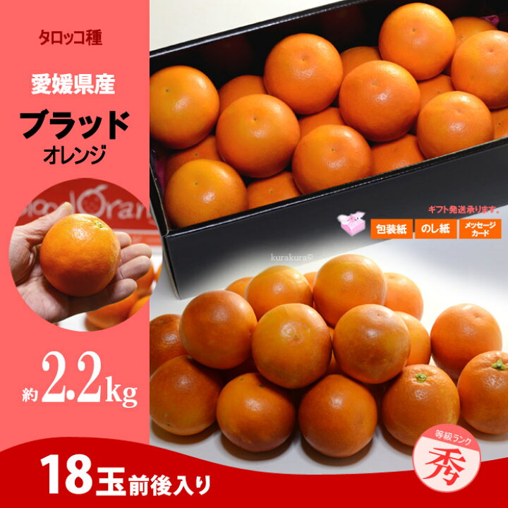 楽天市場】ブラッドオレンジ (L-2L/約2.2kg) 愛媛産 秀品 タロッコ 血 