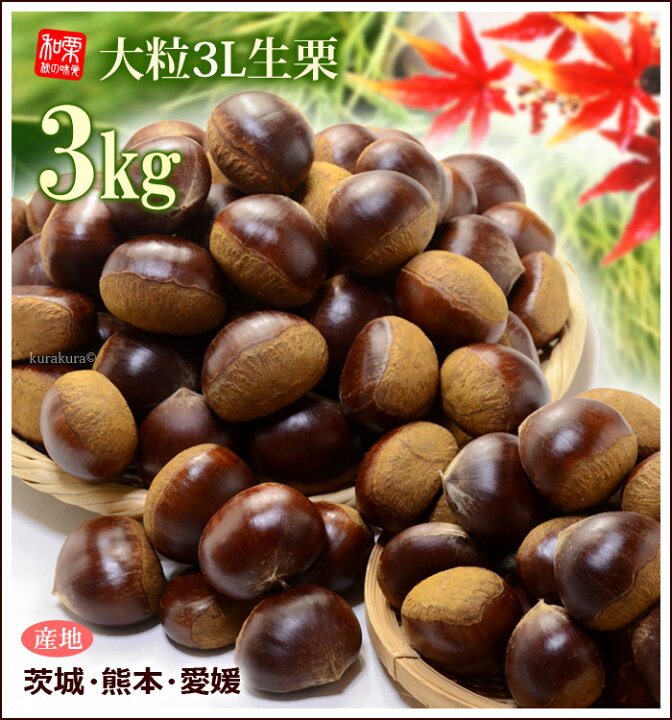 栗 3L (約3kg) 熊本・愛媛・茨城産 大粒 和栗 生栗 くり クリ 食品 フルーツ 果物 栗 送料無料 通販 