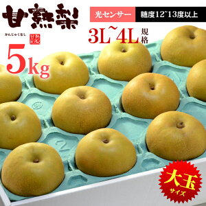 楽天市場 甘熟幸水梨3l 5l 5kg 産地はお任せ 糖度12度以上の大玉幸水梨だけをお届け 食品 フルーツ 果物 和梨 幸水 送料無料 まいど おおきに屋クラクラ
