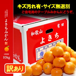 最高の立地条件で育てるよきちみかん