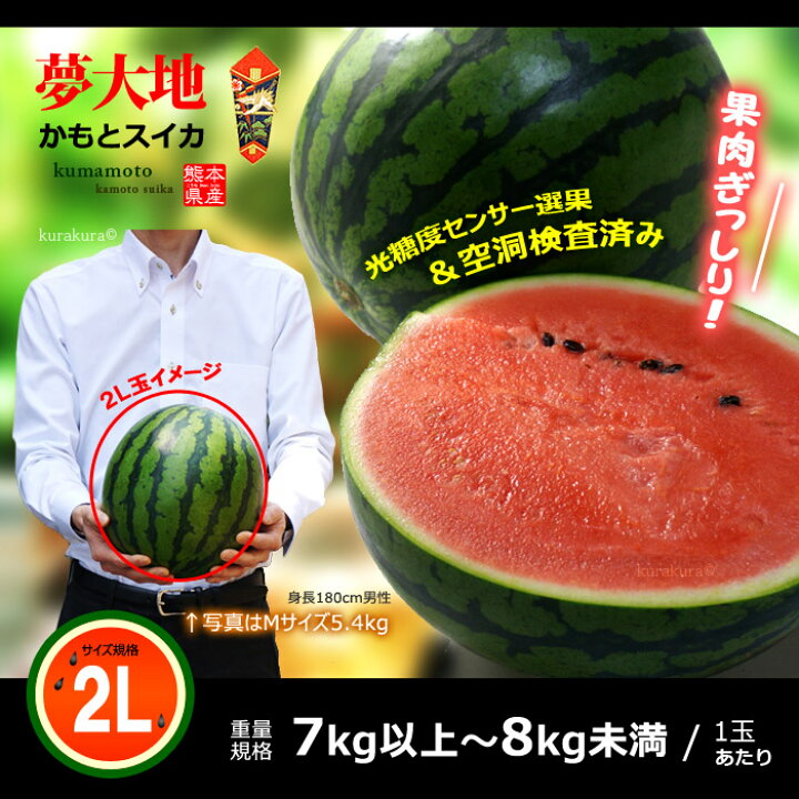 楽天市場】熊本すいか 夢大地 鹿本のスイカ (2L×1玉) 熊本産 秀品 熊本 