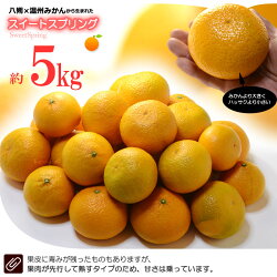 スイートスプリング5kg