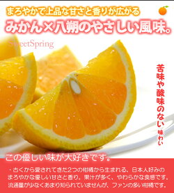 スイートスプリング