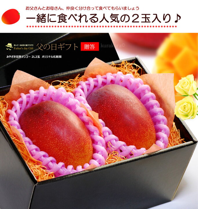 楽天市場】父の日 ギフト 宮崎マンゴー (2L×2玉/約700g) 宮崎産 2025年 