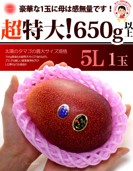 楽天市場】母の日 ギフト 太陽のタマゴ (5L×1玉/約650g以上) 宮崎産 赤 