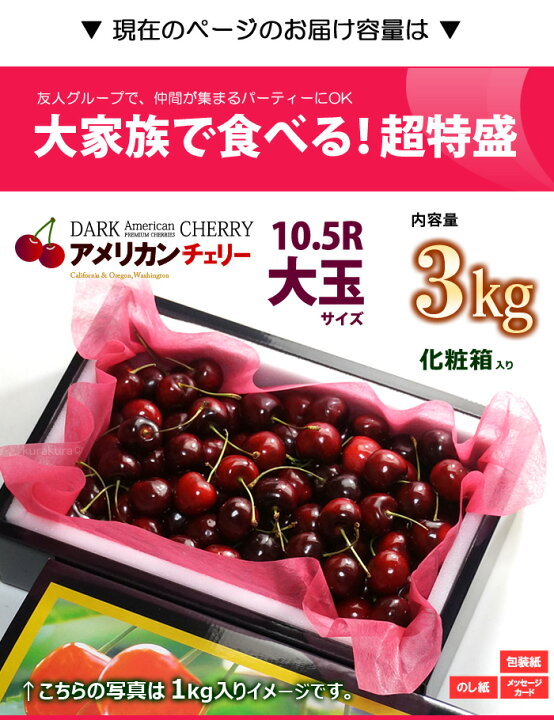 楽天市場】アメリカンチェリー ビング種 (約3kg) ワシントン州産 大粒 
