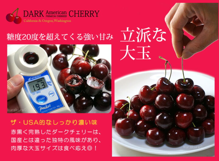 楽天市場】アメリカンチェリー ビング種 (約2kg) ワシントン州産 大粒 