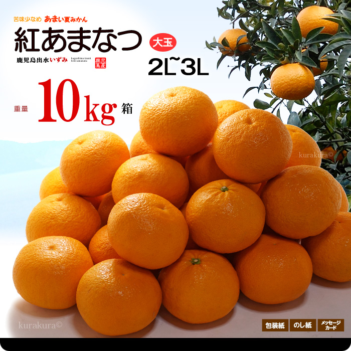 【楽天市場】紅甘夏 みかん 2L-3L (約10kg) 鹿児島産 秀品 紅 