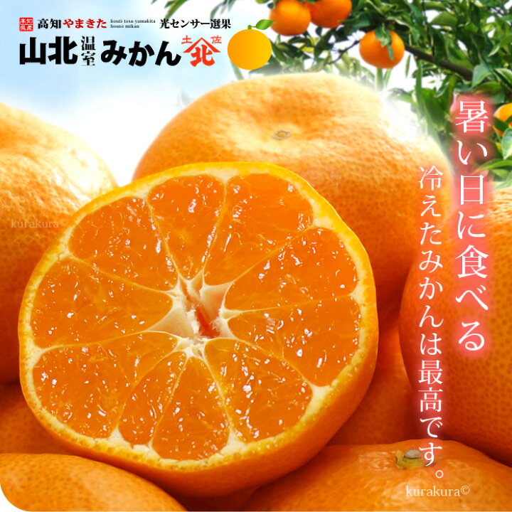 楽天市場】ハウスみかん 山北みかん (約1kg) 高知産 山北温室みかん 