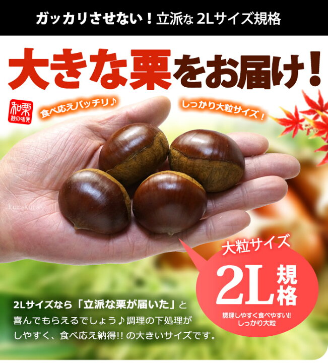 楽天市場】銀寄栗 2L (約1.6kg) 主に愛媛・熊本産 ぎんよせ 銀寄 大粒 