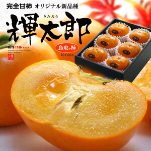 PY ` 2L (1.8kg) Y Gi 낤 L^E  Ê` @c × ÏH x Â Ȃ` ˂Ȃ` 햳` 햳 persimmon Hi t[c ʕ ` Mtg   