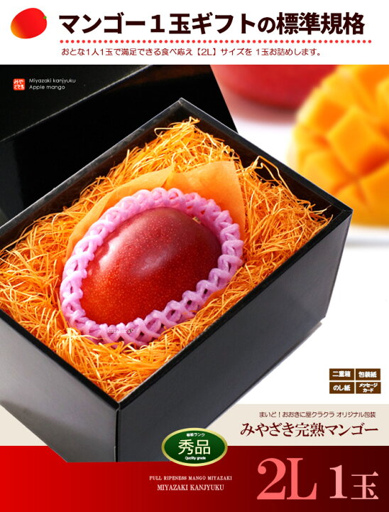 楽天市場】宮崎マンゴー (2L/約350g) 宮崎産 赤秀～青秀 宮崎完熟  