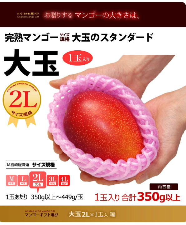 楽天市場】宮崎マンゴー (2L/約350g) 宮崎産 赤秀～青秀 宮崎完熟 