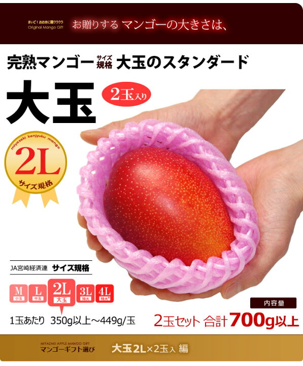 楽天市場】宮崎マンゴー (2L×2玉/約700g) 宮崎産 秀品 宮崎完熟 