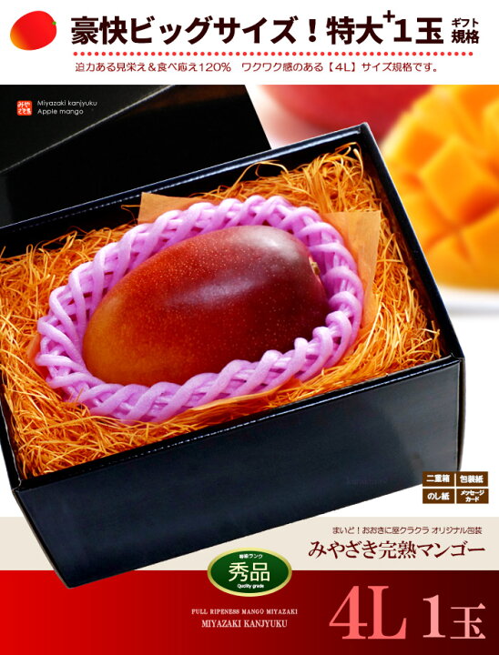 楽天市場】宮崎マンゴー (4L/約510g) 宮崎産 秀品 宮崎完熟マンゴー 