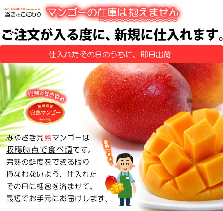 楽天市場】宮崎マンゴー (4L×2玉/約1020g) 宮崎産 赤秀～青秀 宮崎完熟 
