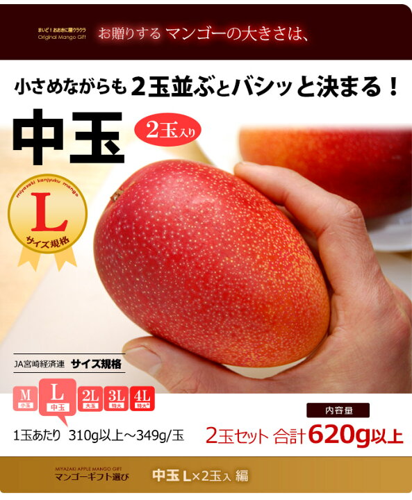 楽天市場】宮崎マンゴー (L×2玉/約600g) 宮崎産 秀品 宮崎完熟マンゴー 