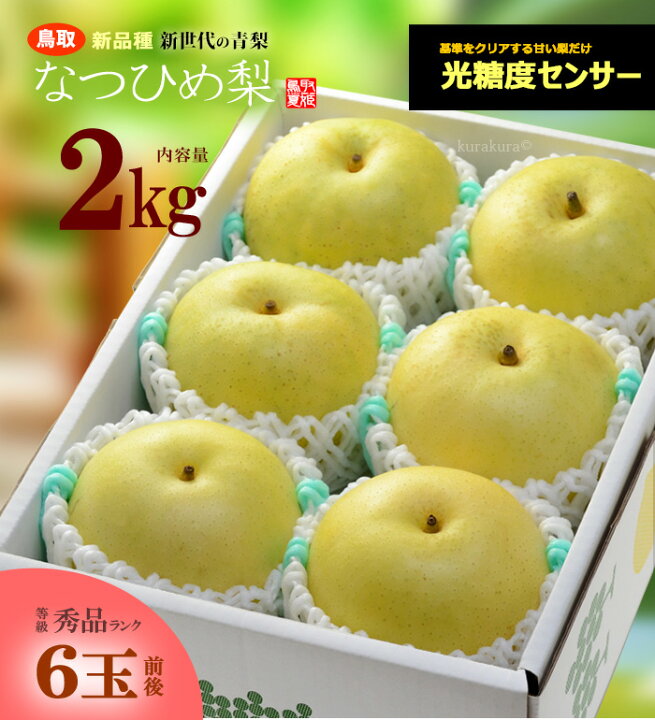 楽天市場 なつひめ梨 約2kg 鳥取産 秀品 糖度選果11 5度以上 青梨 二十世紀梨 夏姫 ギフト 贈答用 食品 フルーツ 果物 和梨 送料無料 まいど おおきに屋クラクラ