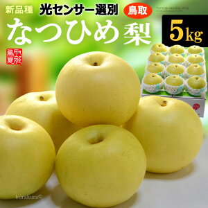 ȂЂߗ 12-14 (5kg) Y Gi 3L 4L  xI11.5xȏ ȂЂ ĕP   Ȃ iV pear \I ĕP Mtg p Hi t[c ʕ a c Mtg  