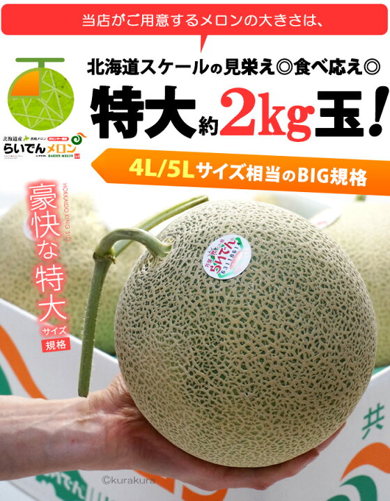 超ポイントアップ祭 北海道夕張IKメロン秀品 4玉 8キロ 品種：ルピアレッド