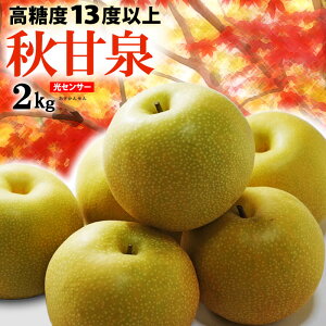 HÐ 5-6 (2kg) Y Gi 񂹂  Ȃ iV pear ZT[ x13xȏ  HÐ Hi t[c ʕ a c Mtg  䋟 Mtg  Â lC j
