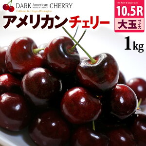 アメリカンチェリー 食品の人気商品 通販 価格比較 価格 Com